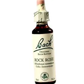 rock