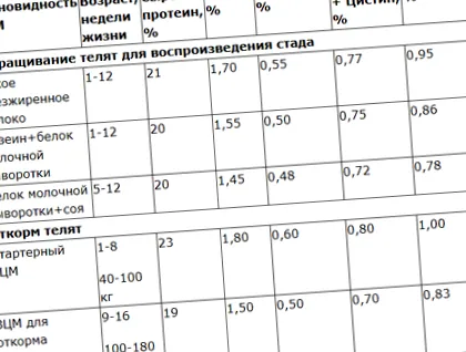крави млади