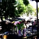 ресторан германска