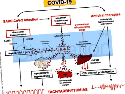 covid-19