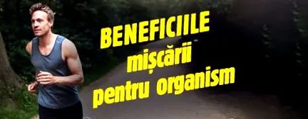 testmozgás
