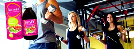 berryfit mennyibe