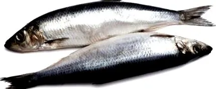 дека харингата