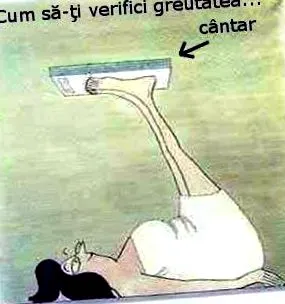 сакаме