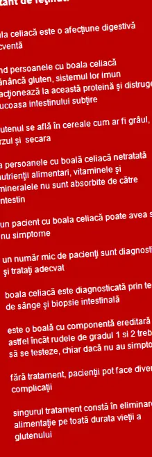 multidiszciplináris