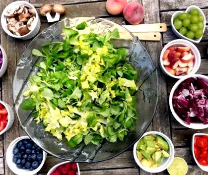biovita blog