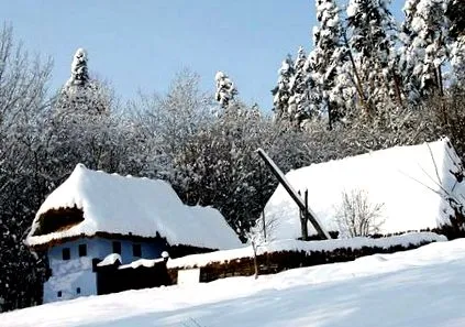 2010