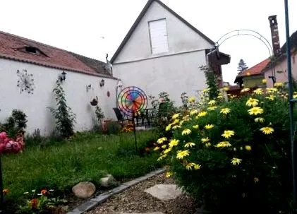 травневих