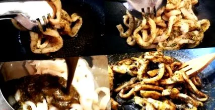 squid