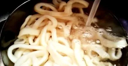 squid