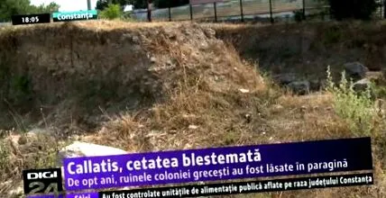 callatis
