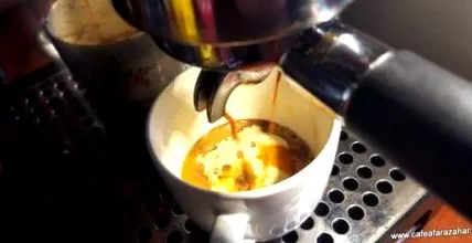 brew
