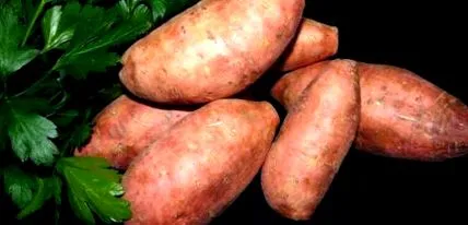 компир
