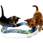 catit