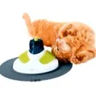 catit