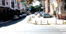 szervezett tiltakozó