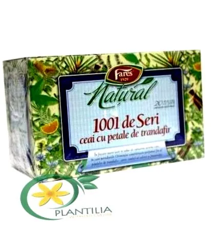 plantilia