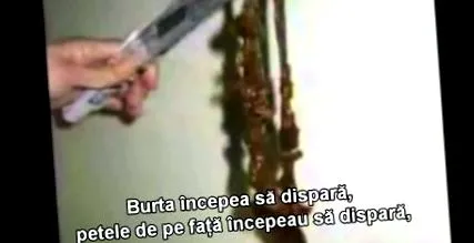 természetes