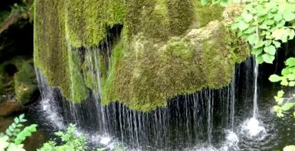 caras-severinben