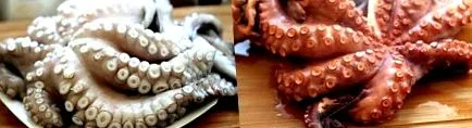 кулинарски лора