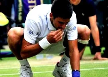 djokovic djokovic