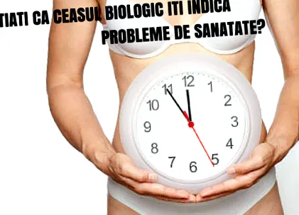 biológiai órája