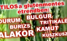 conțin