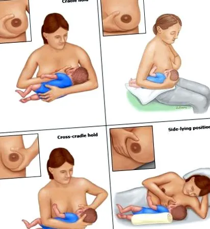 alăptarea care este