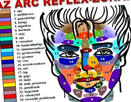 нашата лицето