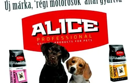 alice alice