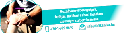 південна південна