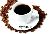 истражувачите