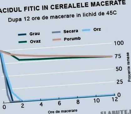 gabonafélék