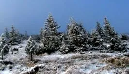 соништа патувања