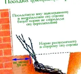 грижа качување
