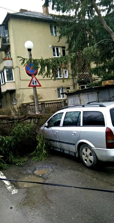 kódja