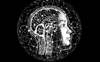 neuroplasticity