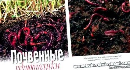 отстраните црвите