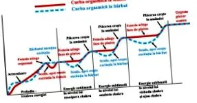 вправа