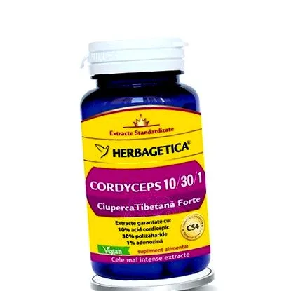 cordyceps cordyceps
