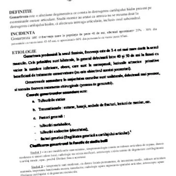 csípőízület