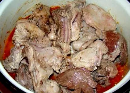 világnyúl