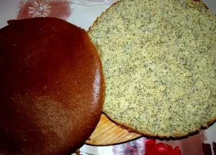 dukan cristina