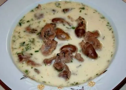 világának