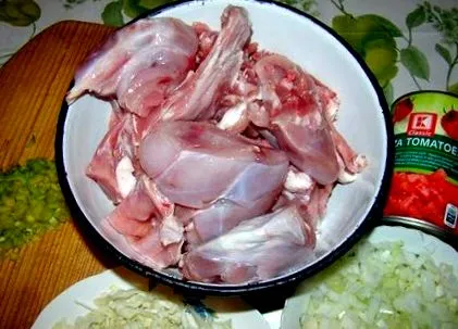 világnyúl