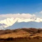 пролетни пролетни