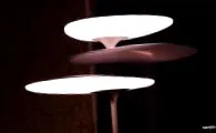 pénzt