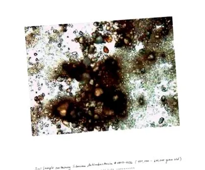 életformáinak