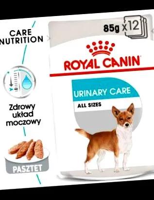 Canin Mini