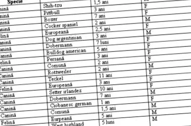 élelmiszerallergiás